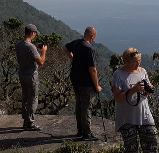 Экспертная помощь